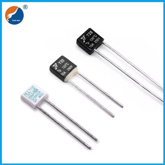 Schneider Thermal Fuse 415V