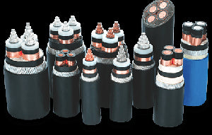 Havells 3 core Copper PVC Sheathed XLPE Low Tension Un-Armoured Power Cable, 2XY