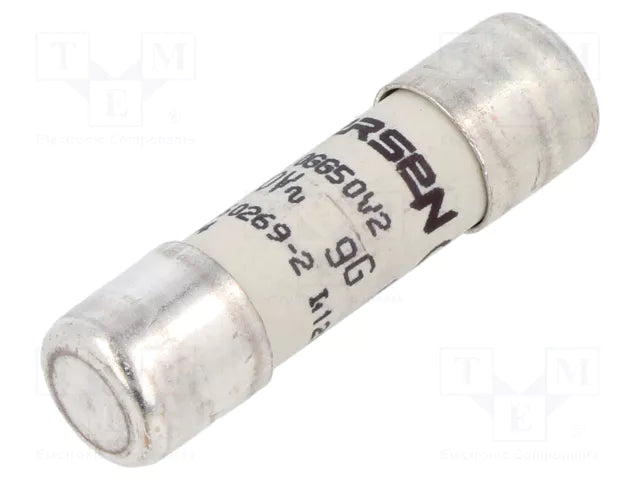 Schneider cartridge Fuse 250V