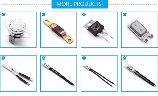 Schneider Thermal Fuse 500