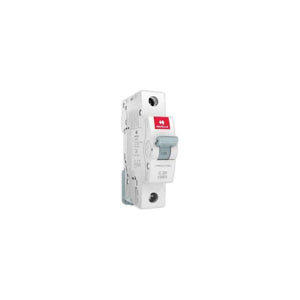 Havells DHMGBSPF025 PVC Plastic 25A MCB SP C Curve (White)