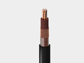 RR 0.50 Sqmm Multicore Shielded Armoured Flexible Cable (PVC/XLPE) 1100V (100 MTR)