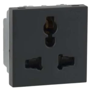 Schneider 5-Pin Socket