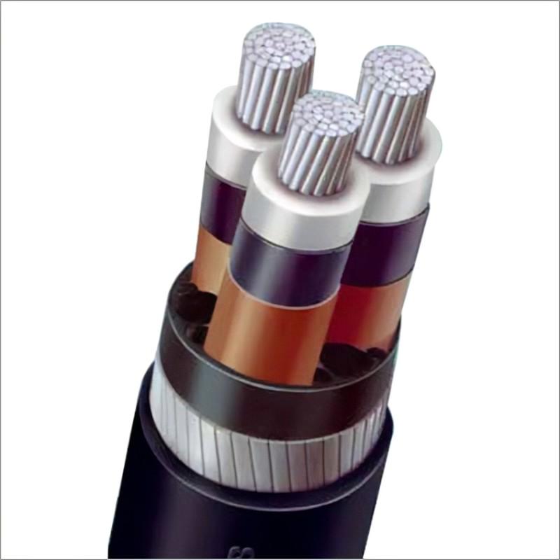Havells 2 core Copper PVC Sheathed XLPE Low Tension Un-Armoured Power Cable, 2XY