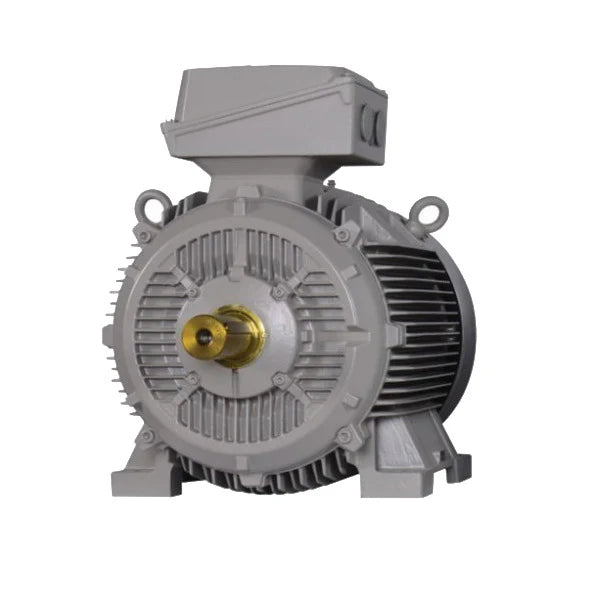 Siemens	Servo Motor 0.5 HP with VFD Starter
