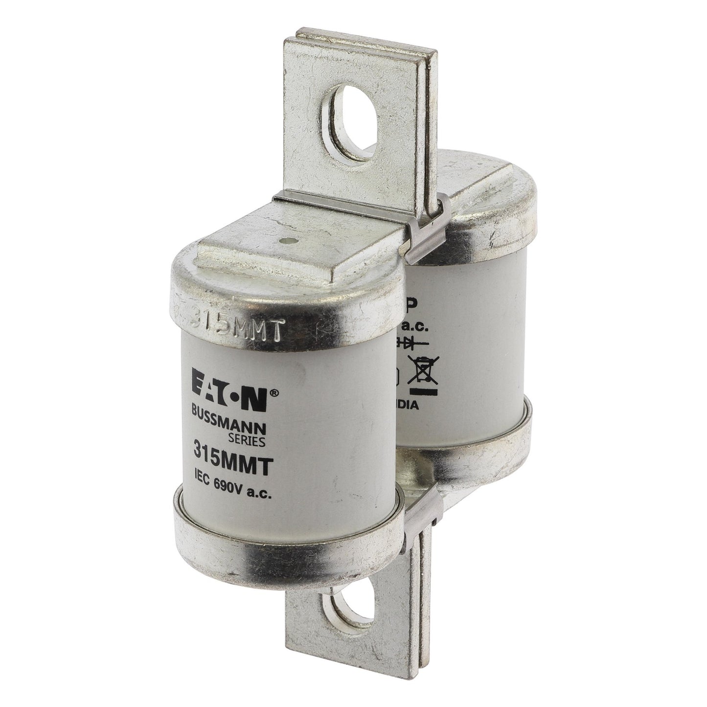 Schneider Blade Fuse 415V