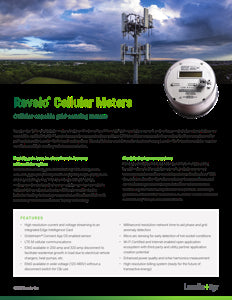 Landis+Gyr LTCT Energy Meter