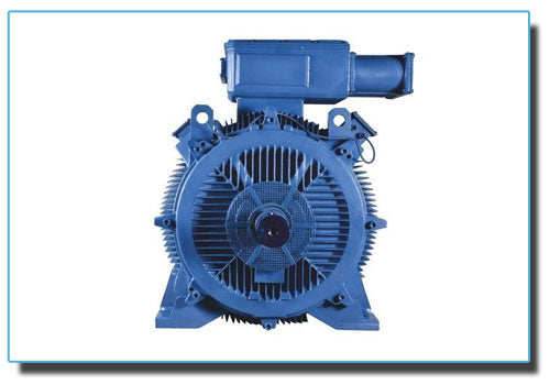 Bharat Bijlee Servo Motor 0.5 HP with VFD Starter