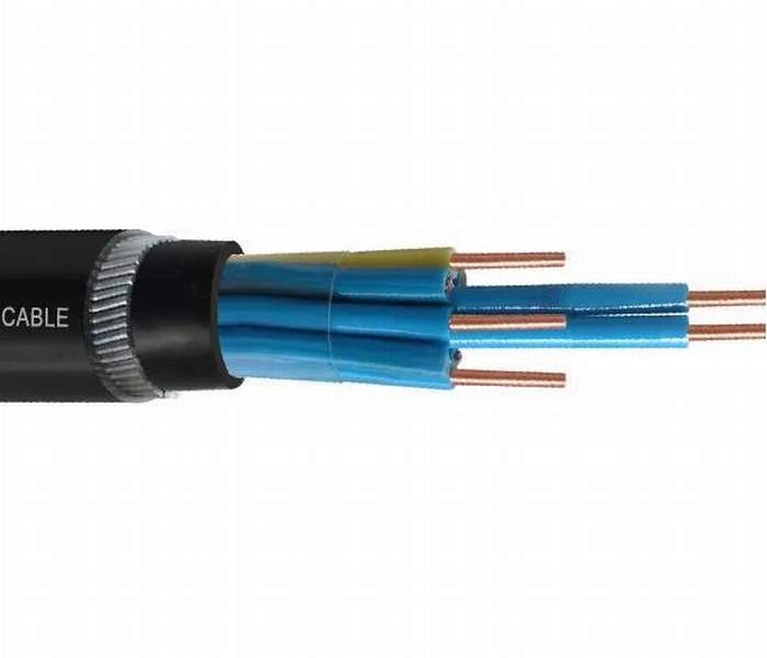 RR 0.75 Sqmm Multicore Shielded Armoured Flexible Cable (PVC/XLPE) 1100V (100 MTR)