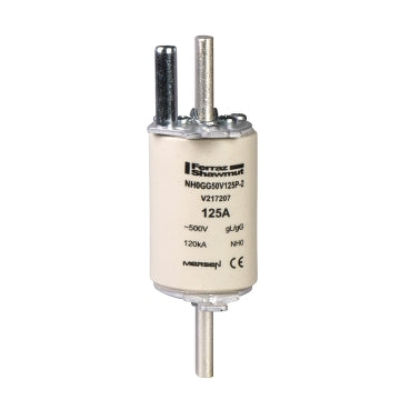 Schneider Blade Fuse 415V