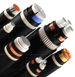 Havells 10.0 Sqmm Multicore Black PVC Insulated Copper Conductor Round Flexible Industrial Cable, ( 100MTR)