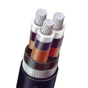 RR 0.75 Sqmm Multicore Shielded Armoured Flexible Cable (PVC/XLPE) 1100V (100 MTR)