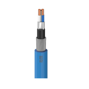 RR 1.00 Sqmm Multicore Shielded Armoured Flexible Cable (PVC/XLPE) 1100V (100 MTR)