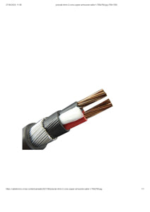Polycab 95 sqmm 3 core 22KV H.T XLPE Armoured Aluminium Cable ( 1 Meter )