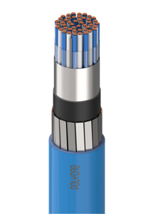 RR 0.75 Sqmm Multicore Shielded Armoured Flexible Cable (PVC/XLPE) 1100V (100 MTR)