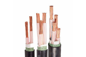 Havells 3 core Copper PVC Sheathed XLPE Low Tension Un-Armoured Power Cable, 2XY