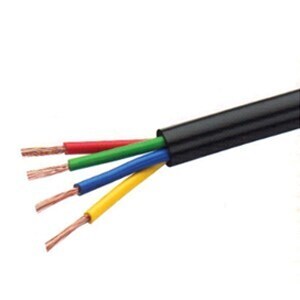 Havells 10.0 Sqmm Multicore Black PVC Insulated Copper Conductor Round Flexible Industrial Cable, ( 100MTR)