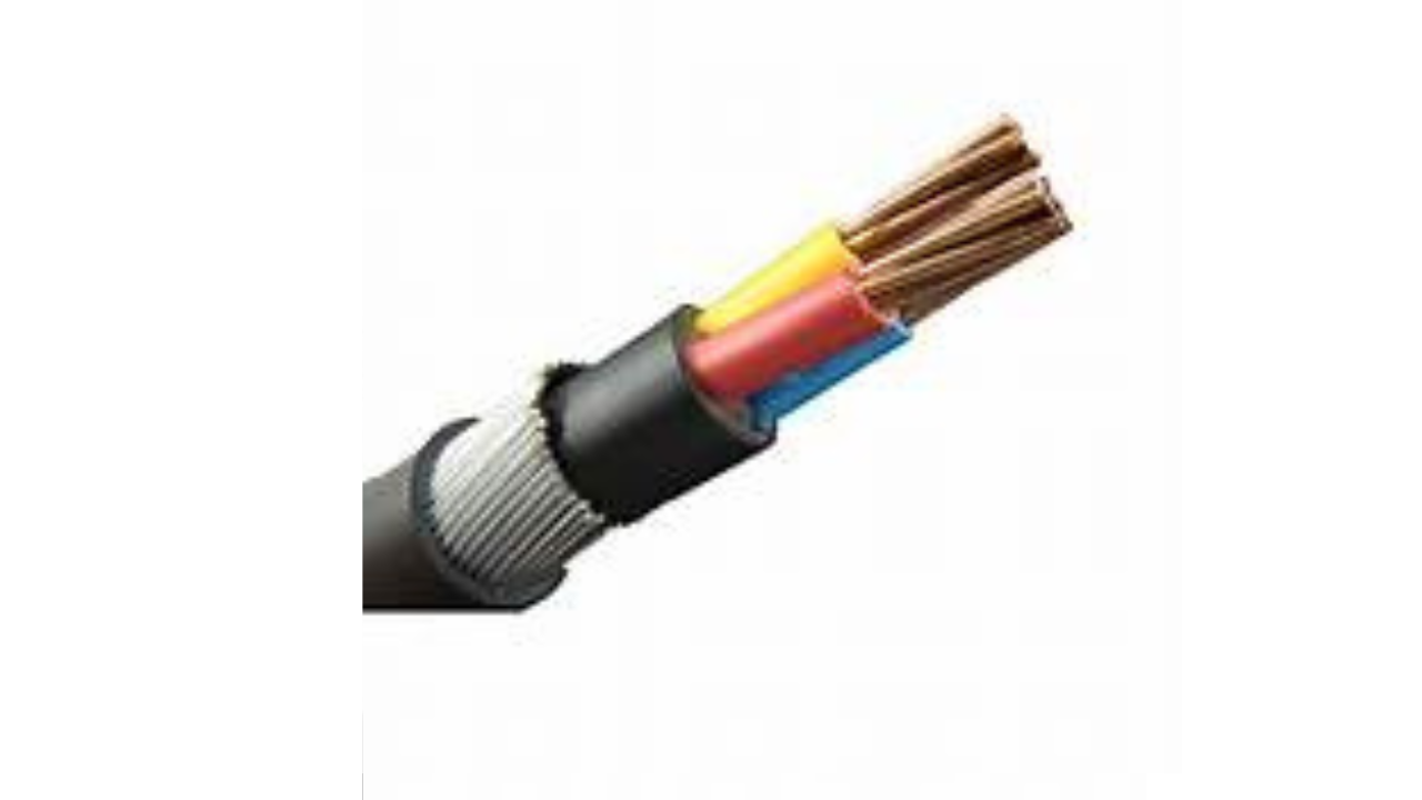 Havells 10.0 Sqmm Multicore Black PVC Insulated Copper Conductor Round Flexible Industrial Cable, ( 100MTR)