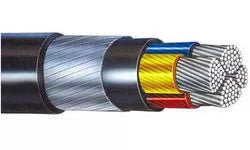 RR 0.50 Sqmm Multicore Shielded Armoured Flexible Cable (PVC/XLPE) 1100V (100 MTR)
