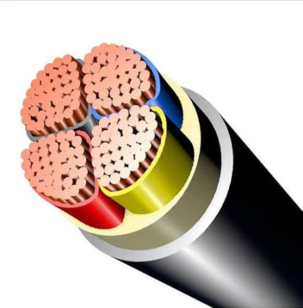 Havells 2 core Copper PVC Sheathed XLPE Low Tension Un-Armoured Power Cable, 2XY